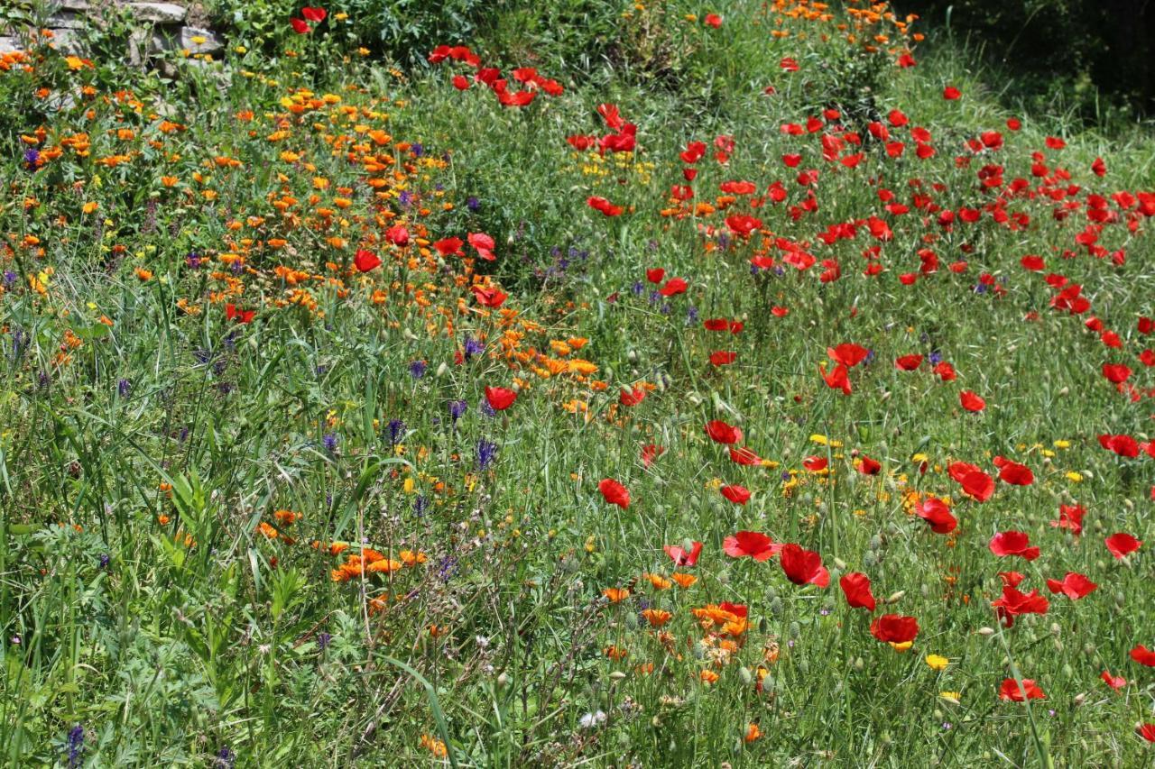 Agriturismo La Rovere Cossano Belbo ภายนอก รูปภาพ